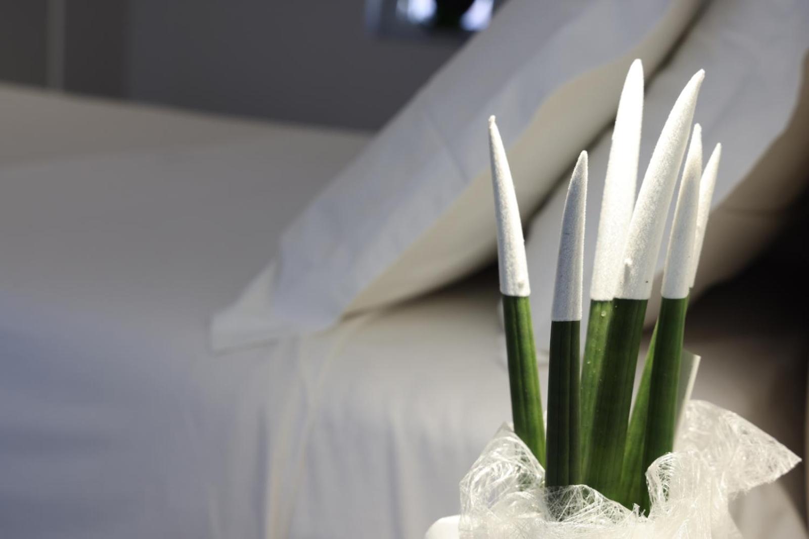 Ruffini Rooms Termoli Eksteriør bilde